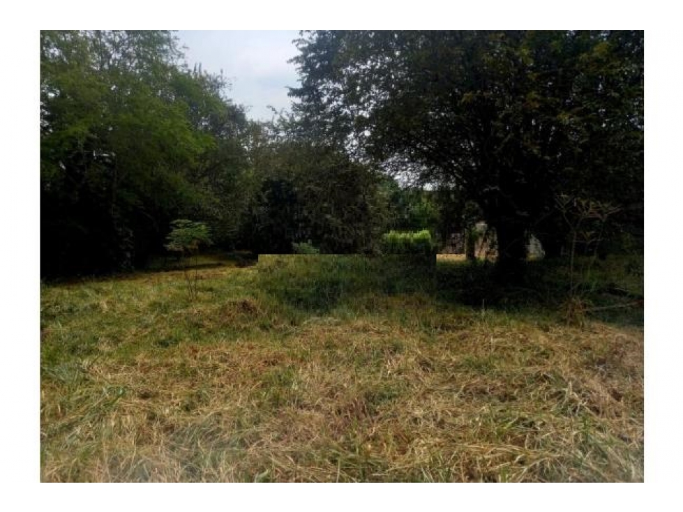 Venta de lote Independiente en Pance — foto 5