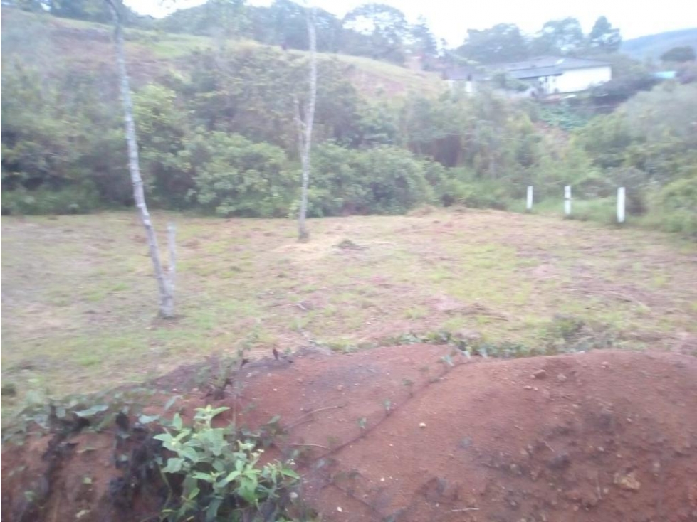SE VENDE LOTE EN TOCOTA EN PARCELACION DE 3725 CON ZONAS SOCIALES — foto 4