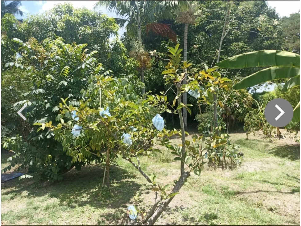 Excelente casa campestre en Rozo — foto 5