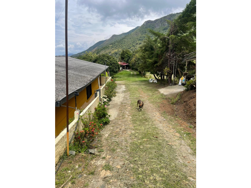 FINCA EN VENTA EN VIJES - 6