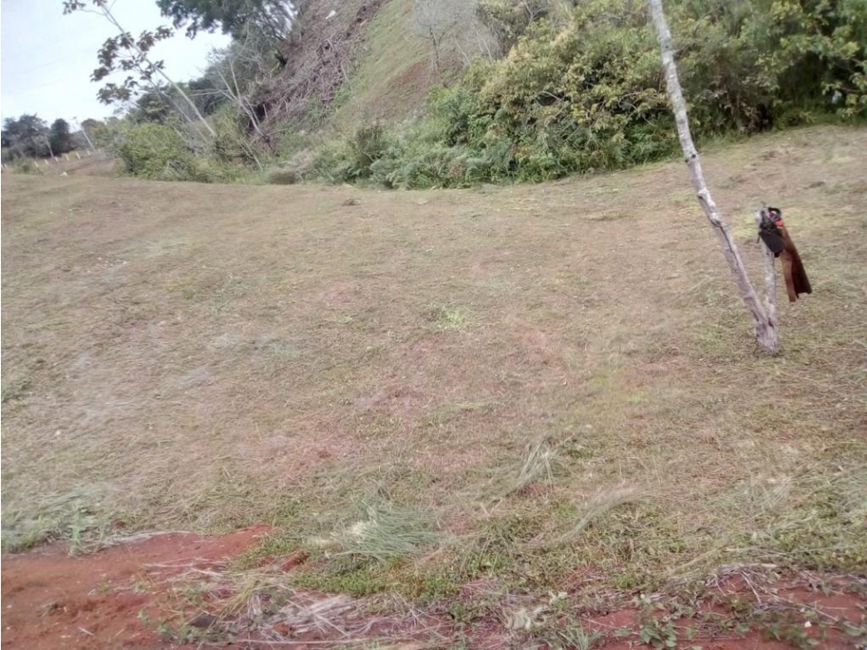 SE VENDE LOTE EN TOCOTA EN PARCELACION DE 3725 CON ZONAS SOCIALES — foto 5