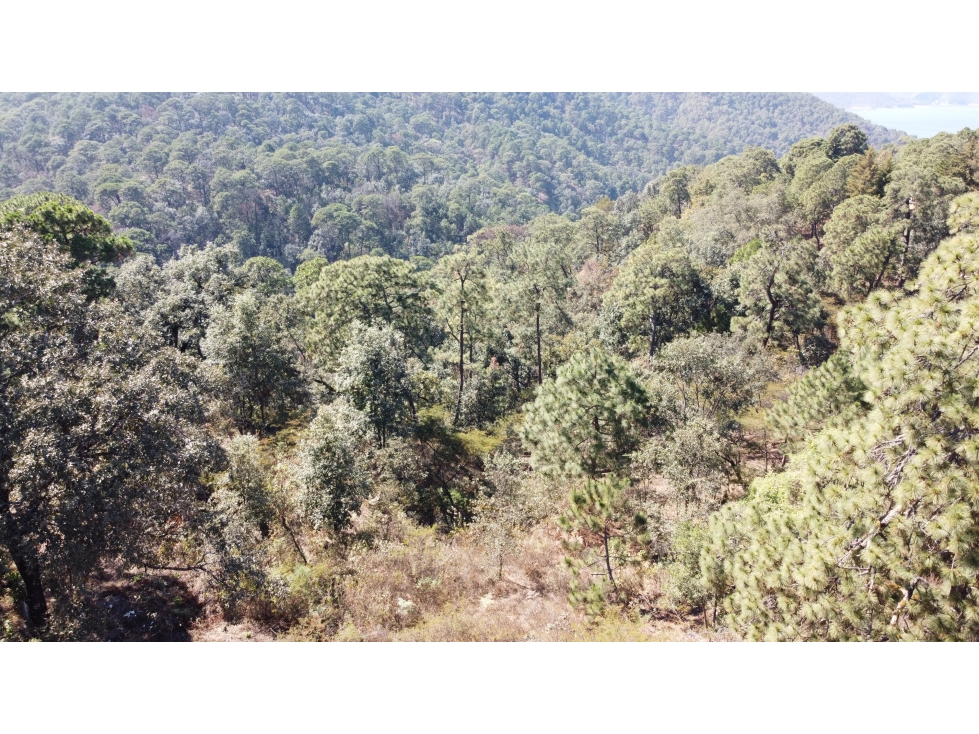 VENTA TERRENO/ AVANDARO — foto 4