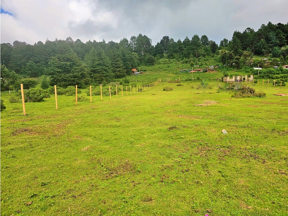 TERRENO EN VENTA ,MESA RICA, VALLE DE BRAVO — foto 5