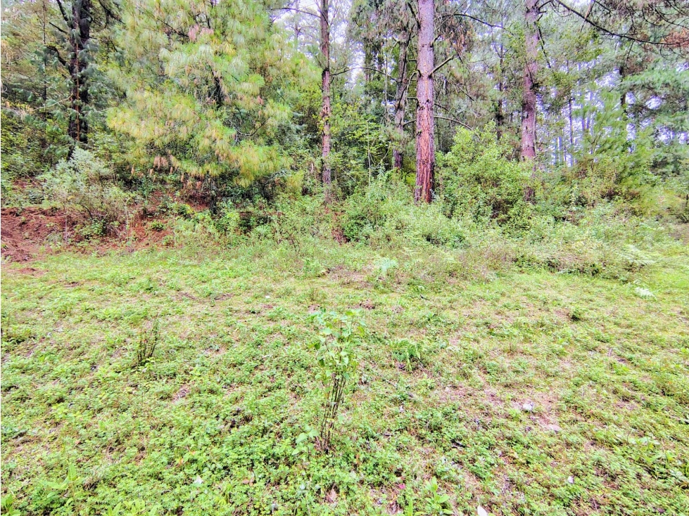 VENTA /TERRENO /SAUCOS /VALLE DE BRAVO — foto 4