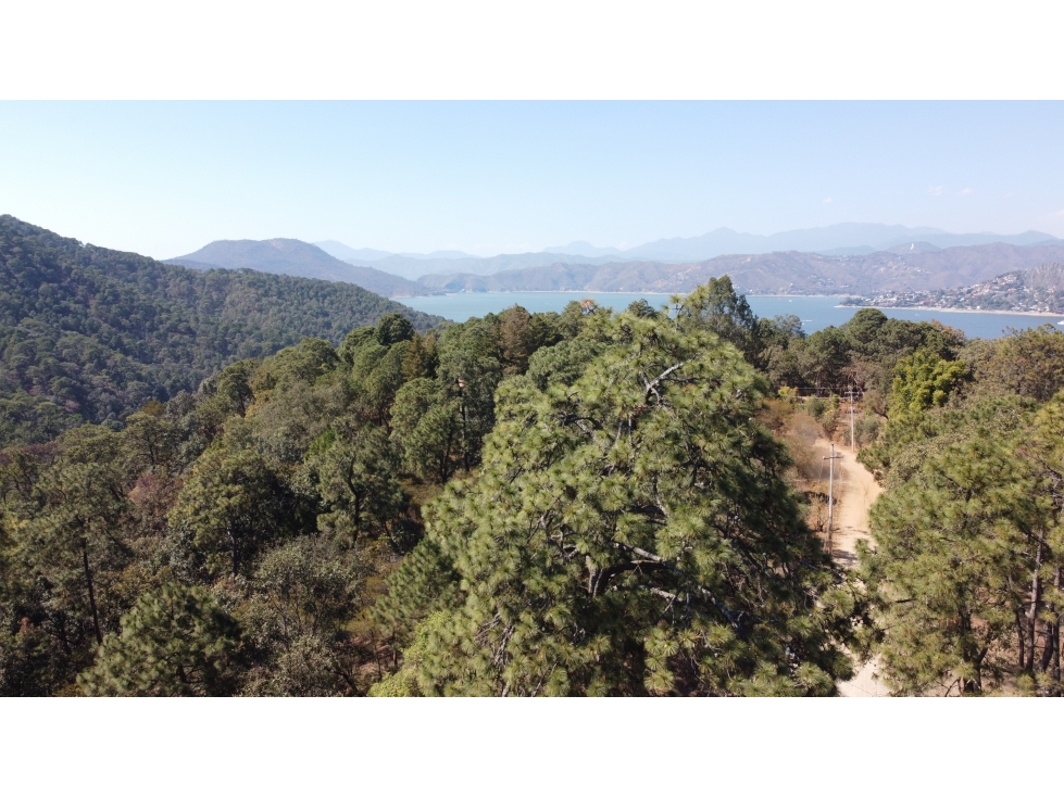 VENTA TERRENO/ AVANDARO — foto 6