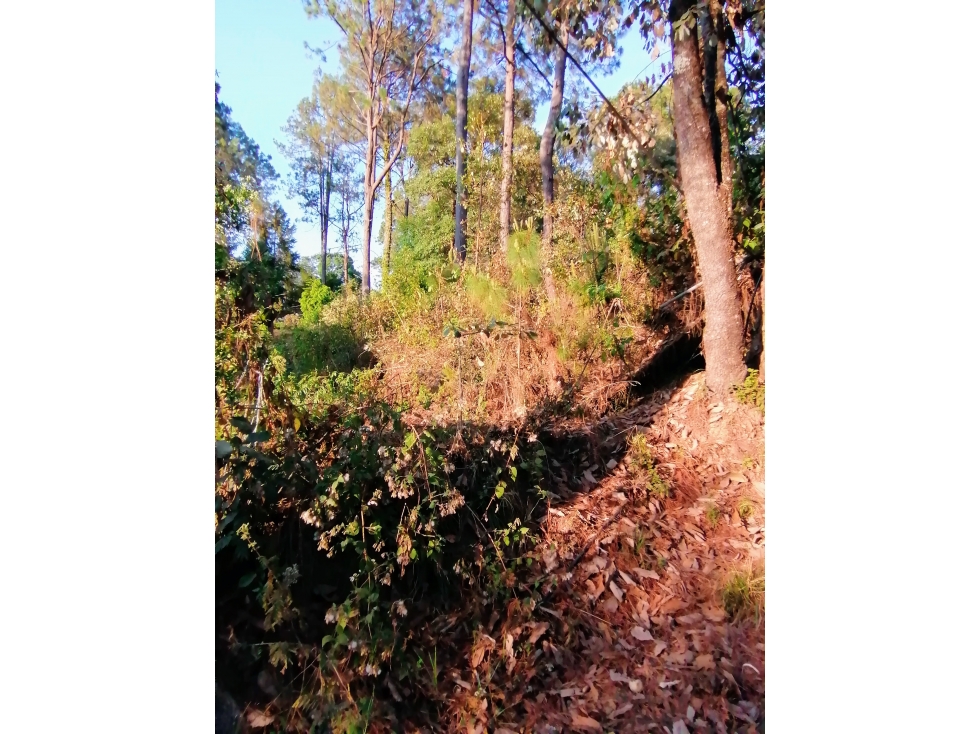 TERRENO EN VENTA / CIRCUITO AVANDARO — foto 4