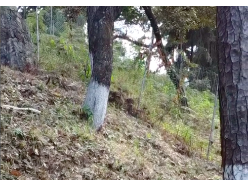 TERRENO EN VENTA || VALLE DE BRAVO || AVÁNDARO — foto 5