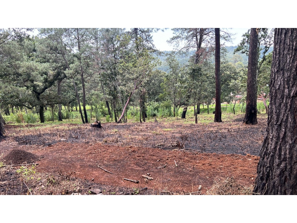 INCREIBLE TERRENO EN SAN GABRIEL IXTLA — foto 3