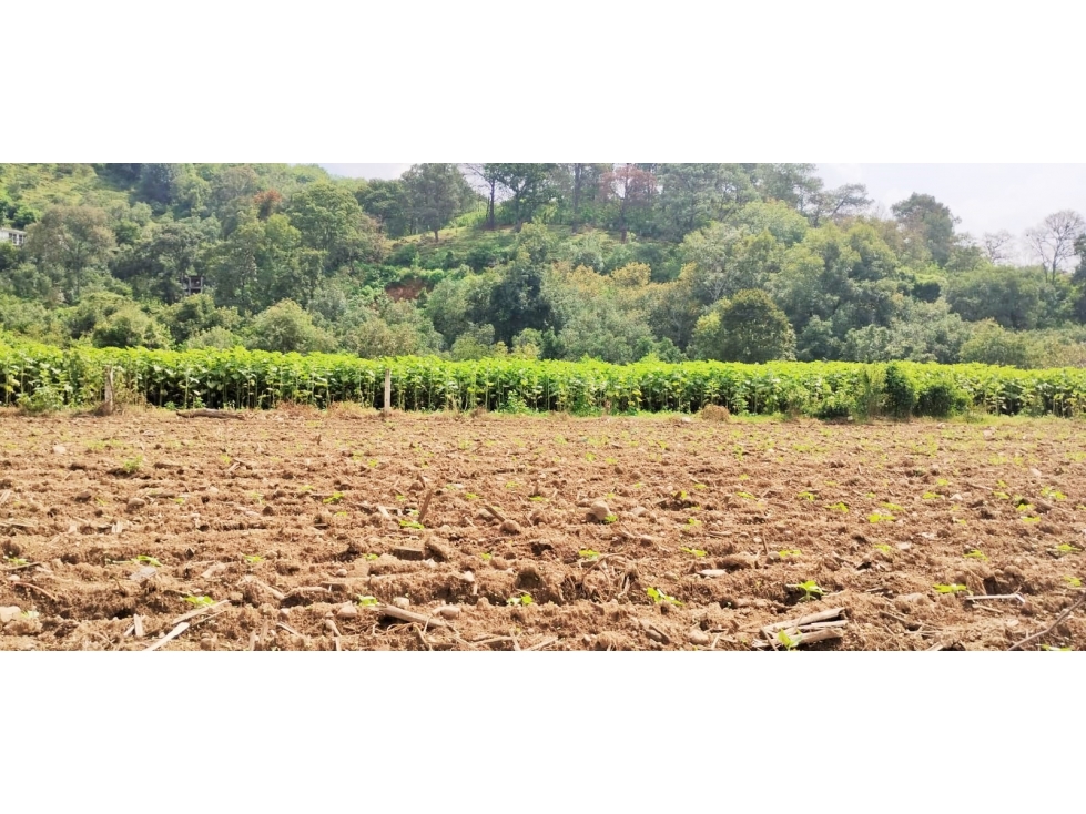 TERRENO EN PIPIOLTEPEC,VALLE DE BRAVO — foto 3