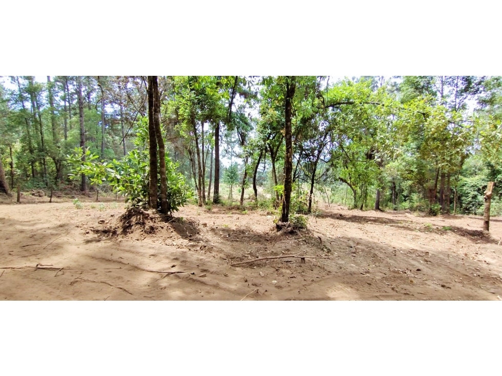 TERRENO EN VENTA/EL MANZANO/VALLE DE BRAVO - 3