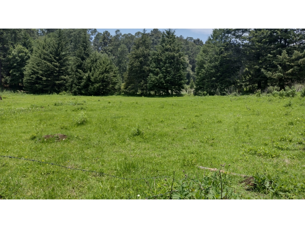 TERRENO EN VENTA EN MESA RICA/VALLE DE BRAVO - 1