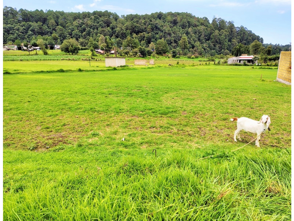 TERRENO EN VENTA /SAUCOS /VALLE DE BRAVO — foto 2