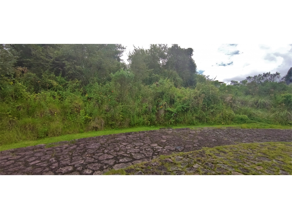 LOTE EN VENTA|VALLE SANTANA|VALLE DE BRAVO