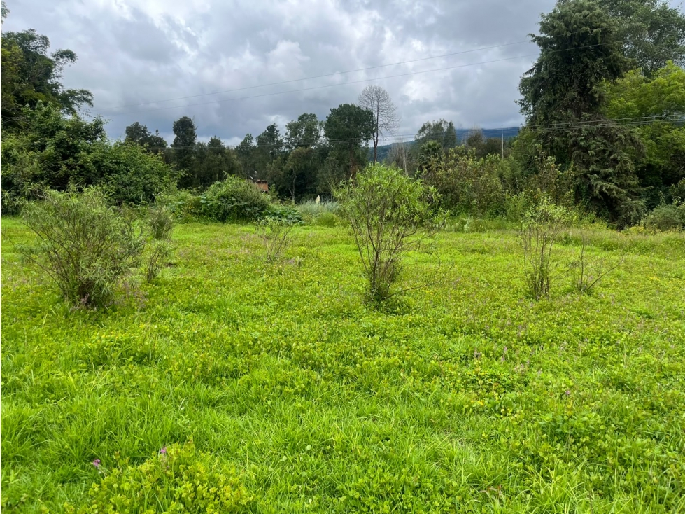 EXCELENTE TERRENO EN VENTA EN SAN MATEO ACATITLAN — foto 2