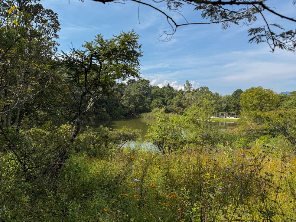 EXCLUSIVOS LOTES EN VENTA| NATURALEZA Y TRANQUILIDAD| VALLE DE BRAVO - 1