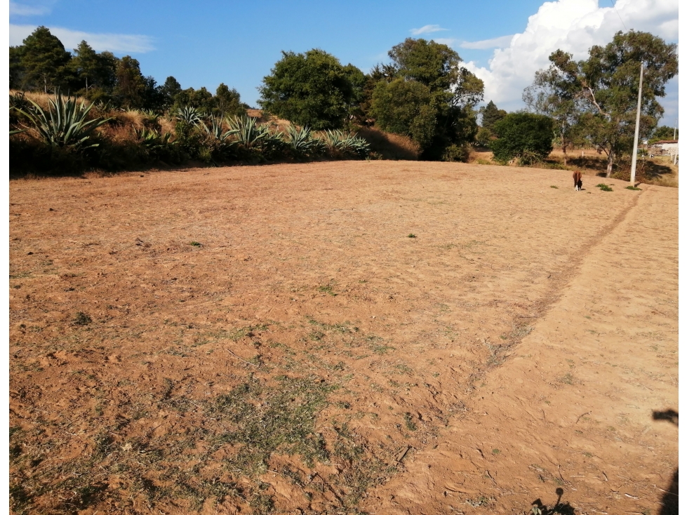 TERRENO EN VENTA SAN MIGUEL XOLTEPEC