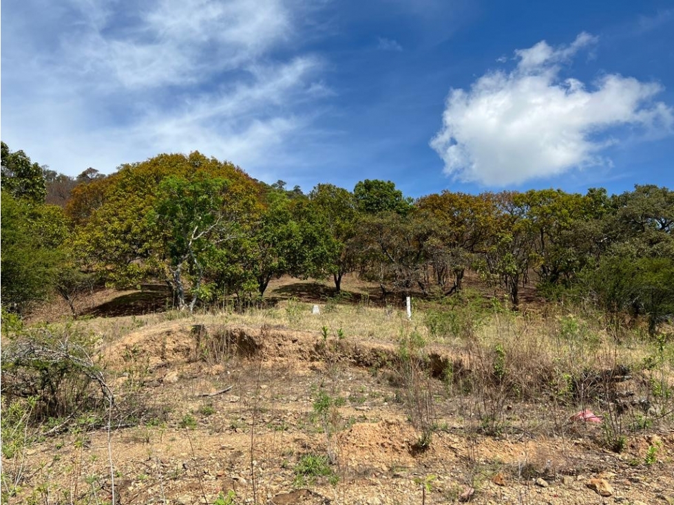 TERRENO CON ACCESO AL LAGO — foto 4
