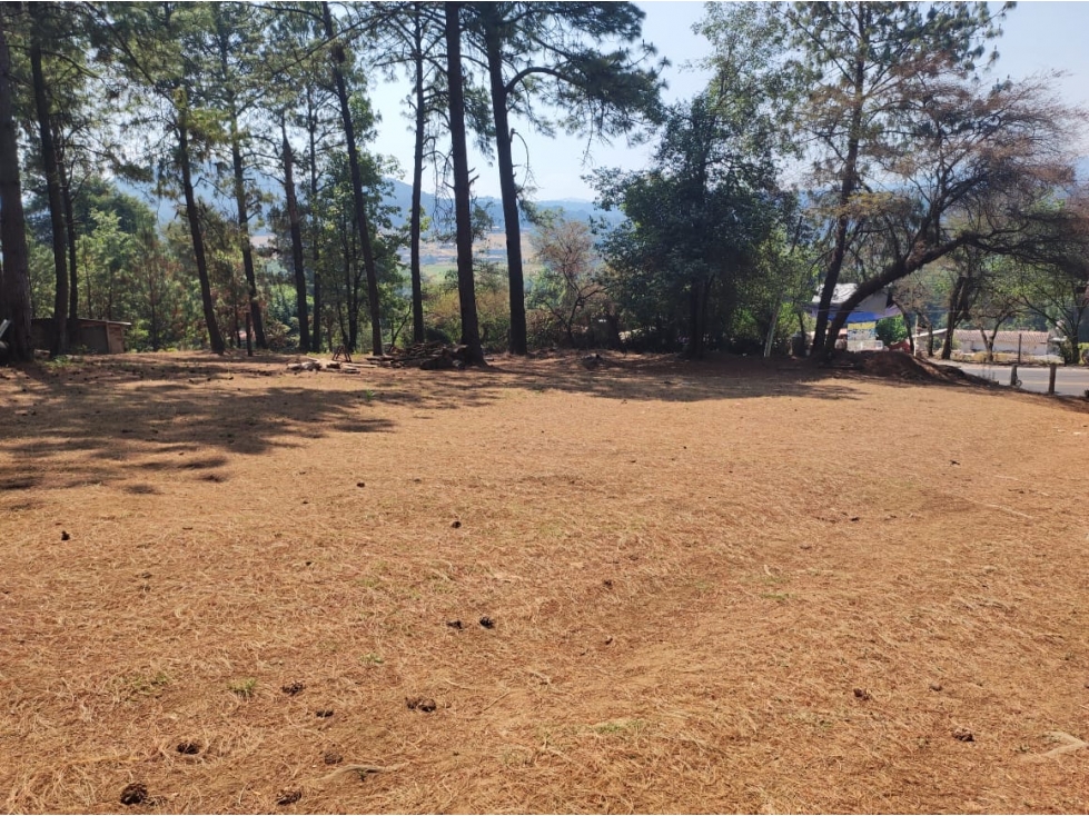 TERRENO EN RENTA | ACATITLAN | A PIE DE CARRETERA - 2