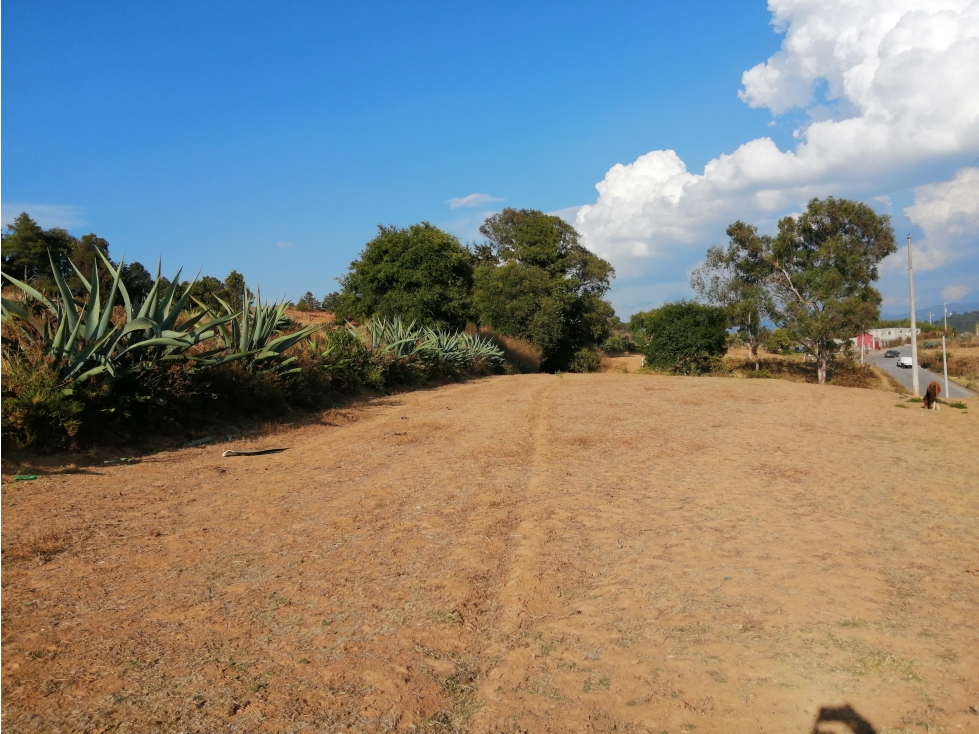 TERRENO EN VENTA SAN MIGUEL XOLTEPEC — foto 4