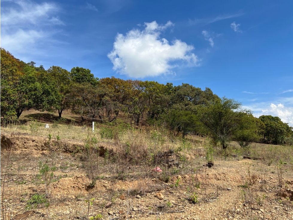 TERRENO CON ACCESO AL LAGO — foto 6