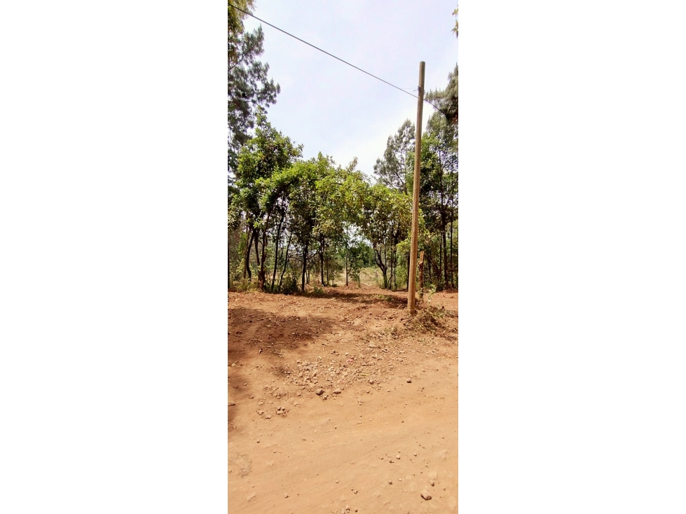 TERRENO EN VENTA/EL MANZANO/VALLE DE BRAVO - 1
