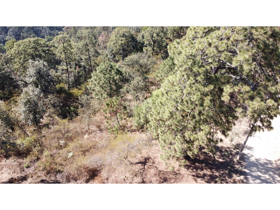 VENTA TERRENO/ AVANDARO — foto 3