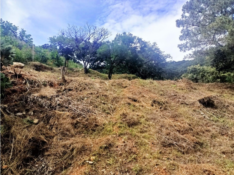 TERRENO CON VISTA AL LAGO/SAN GASPAR/VALLE DE BRAVO — foto 5