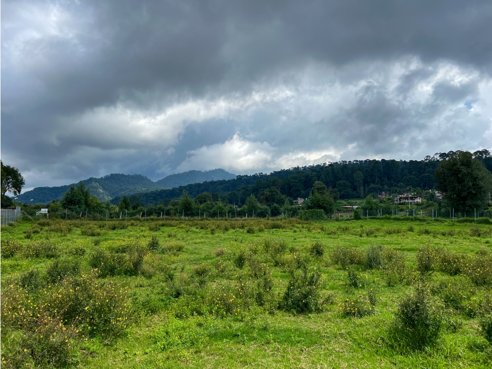TERRENO EN VENTA|CERRO GORDO|VALLE DE BRAVO — foto 2