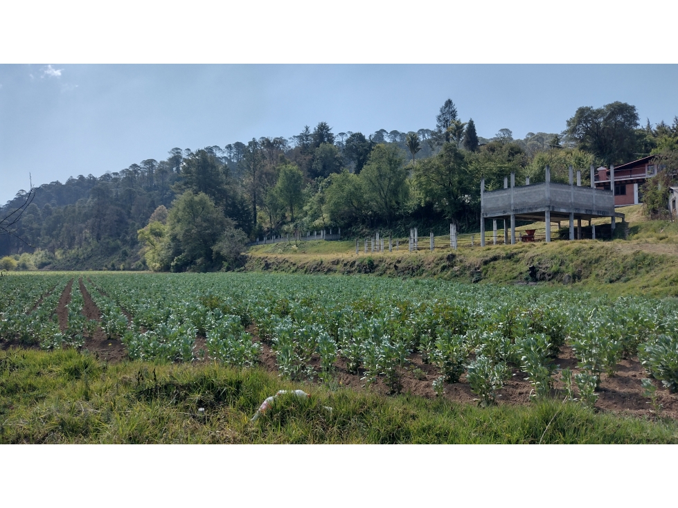 CASA EN VENTA/SAN MATEO AMANALCO