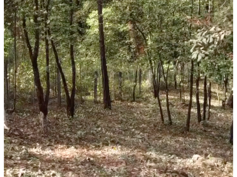 TERRENO EN VENTA || VALLE DE BRAVO || AVÁNDARO — foto 2