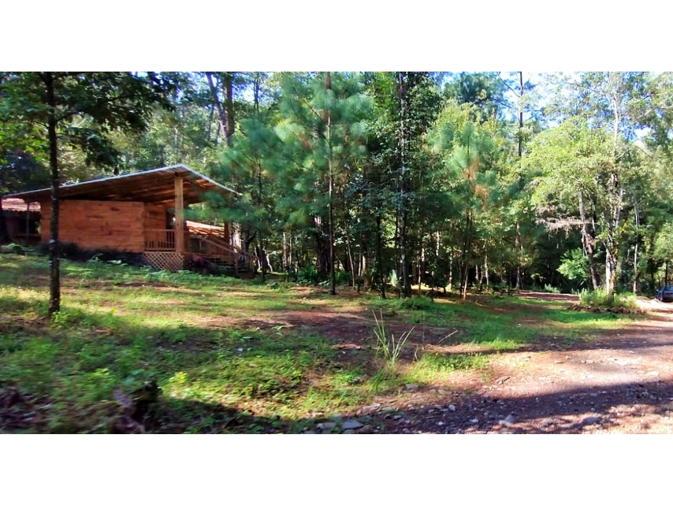 VENTA TERRENO /CERRO GORDO