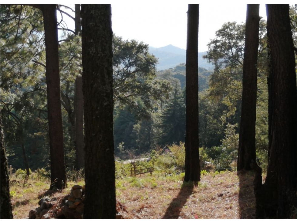 TERRENO EN VENTA / IXTLA VALLE DE BRAVO — foto 4