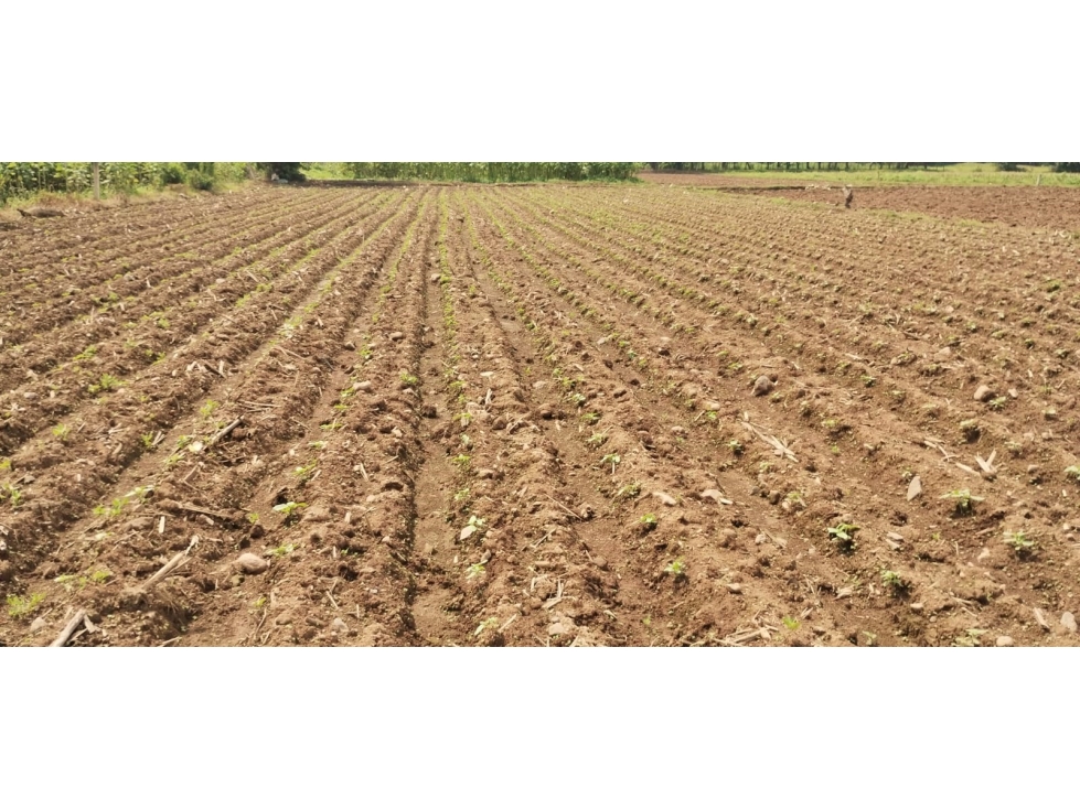 TERRENO EN PIPIOLTEPEC,VALLE DE BRAVO — foto 5