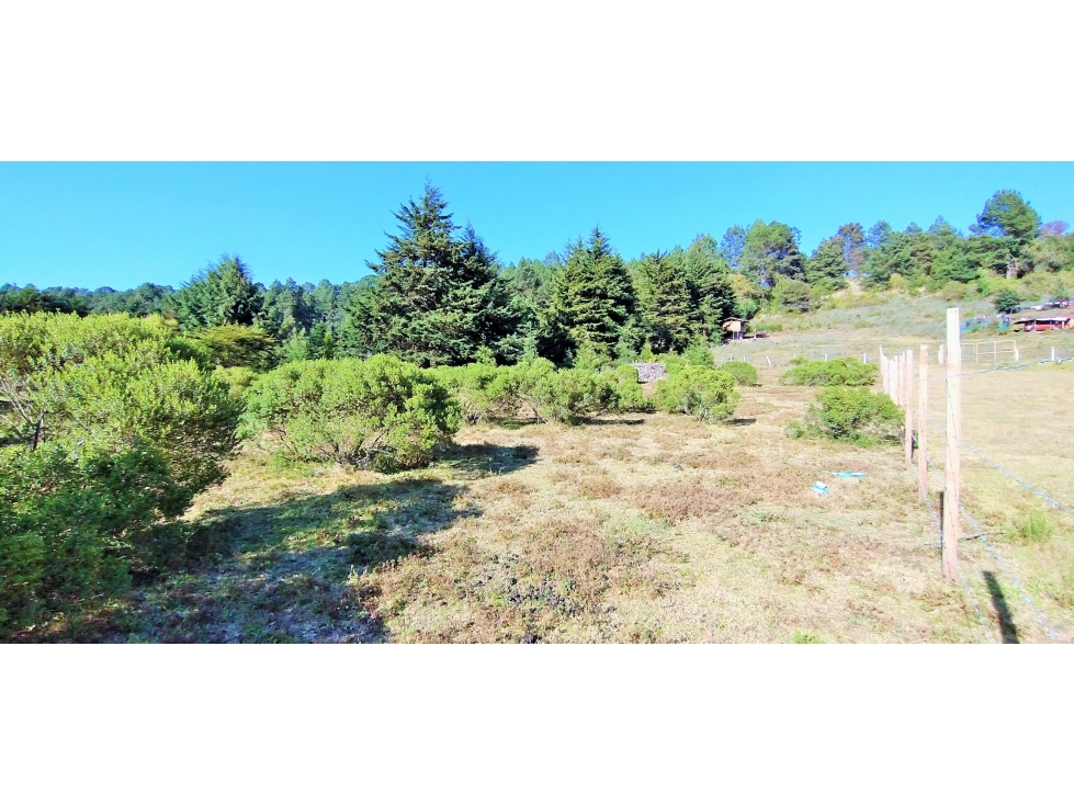 VENTA TERRENO /MESA RICA VALLE DE BRAVO — foto 3