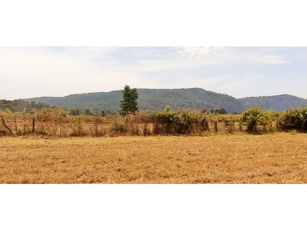TERRENO EN VENTA / EL MANZANO /CERRO GORDO — foto 3