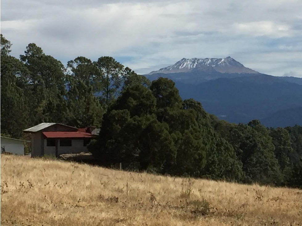 TERRENO CON CONSTRUCCIÓN | MESA RICA | 20 KM VALLE DE BRAVO — foto 2