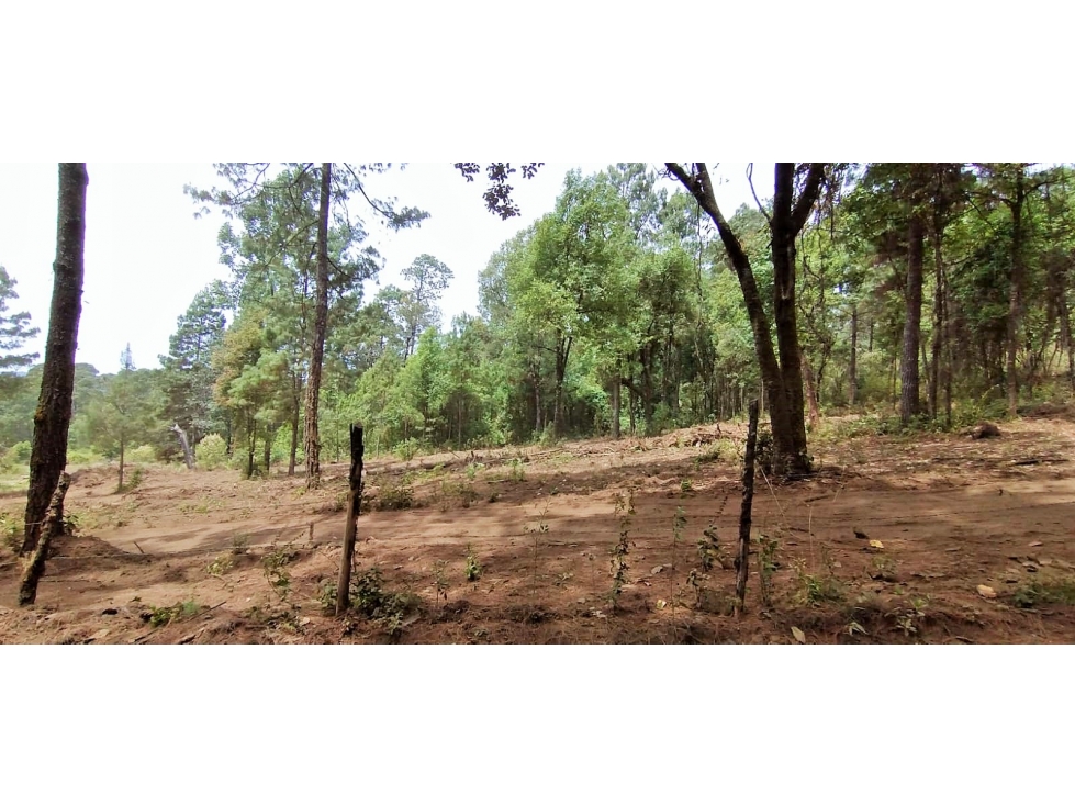 TERRENO EN VENTA/EL MANZANO/VALLE DE BRAVO - 5