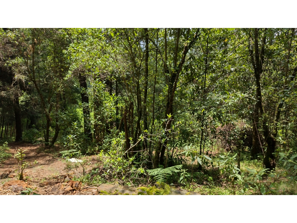 TERRENO EN VENTA EN MESA RICA/VALLE DE BRAVO - 2