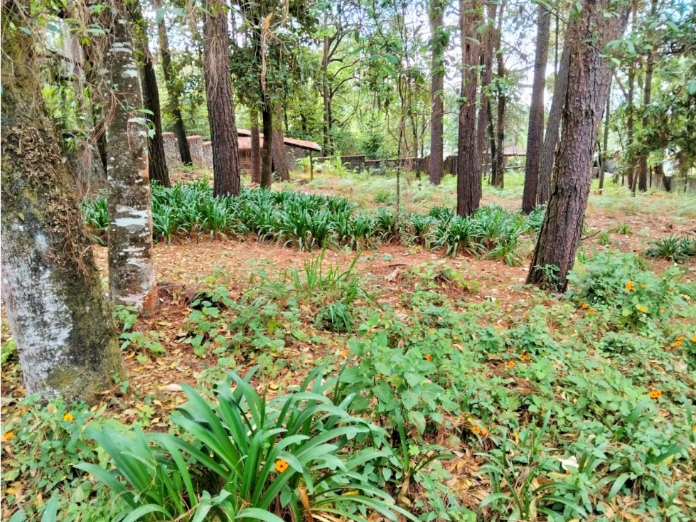 VENTA TERRENO/ AVANDARO