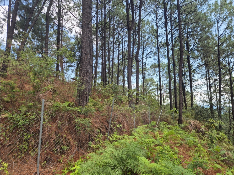 EXCLUSIVO TERRENO || ZONA ALTA PLUSVALÍA — foto 5