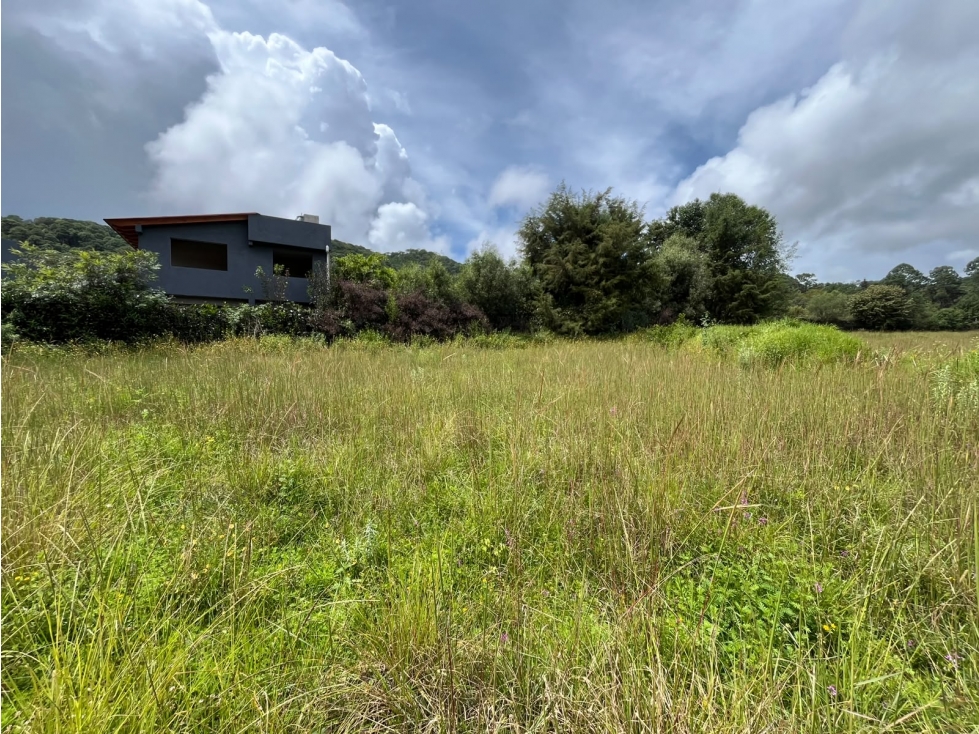 TERRENO EN VENTA EN ZONA DE ALTA PLUSVALIA |SAN MATEO ACATITLAN| L1