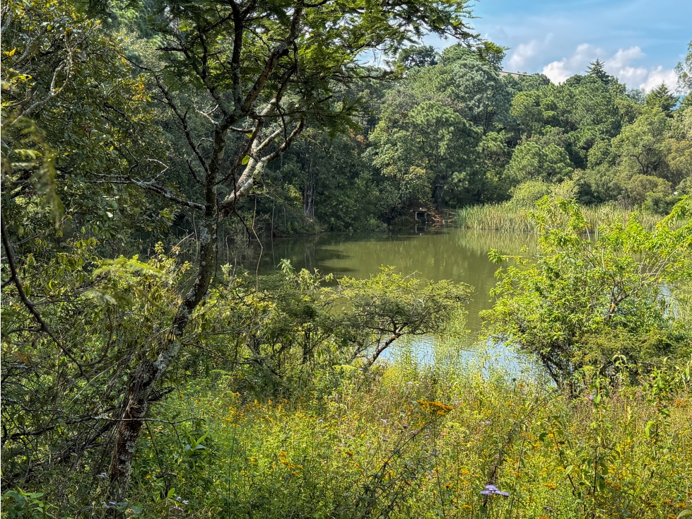 EXCLUSIVOS LOTES EN VENTA| NATURALEZA Y TRANQUILIDAD| VALLE DE BRAVO - 2
