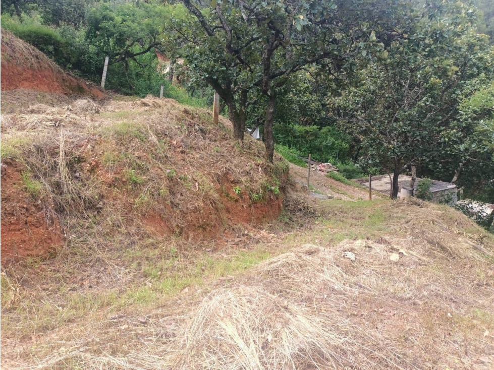 TERRENO CON VISTA AL LAGO/SAN GASPAR/VALLE DE BRAVO — foto 6