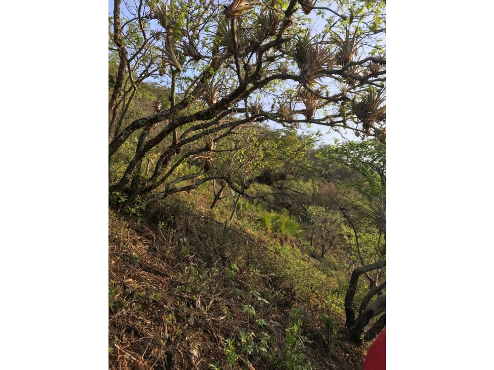 TERRENO EN VENTA, EXCELENTE VISTA PANORAMICA AL LAGO — foto 4