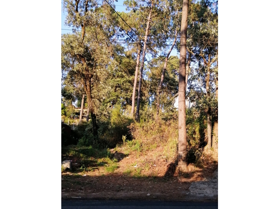TERRENO EN VENTA / CIRCUITO AVANDARO — foto 2