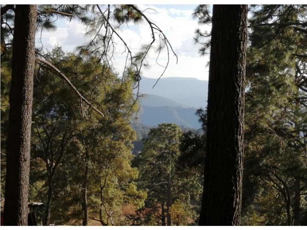 TERRENO EN VENTA / IXTLA VALLE DE BRAVO — foto 5