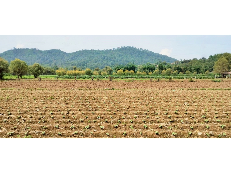 TERRENO EN PIPIOLTEPEC,VALLE DE BRAVO — foto 6