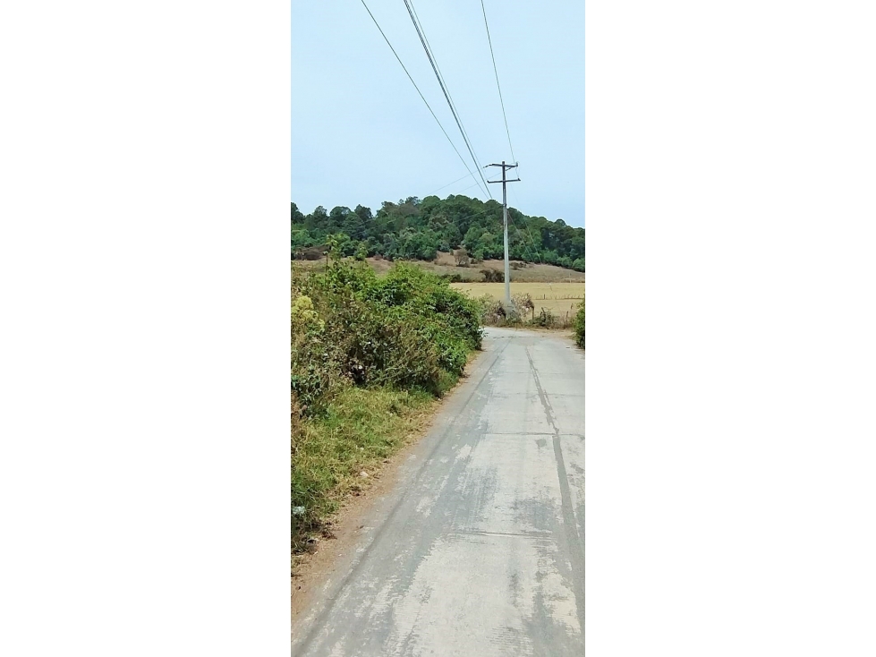 TERRENO EN VENTA / EL MANZANO /CERRO GORDO — foto 4