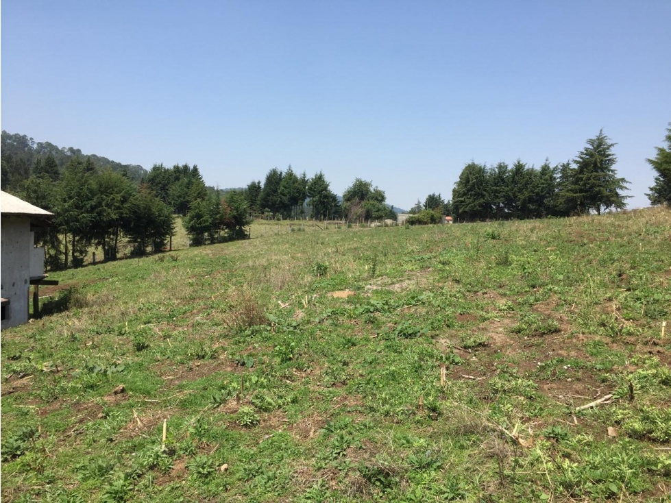 TERRENO CON CONSTRUCCIÓN | MESA RICA | 20 KM VALLE DE BRAVO — foto 3