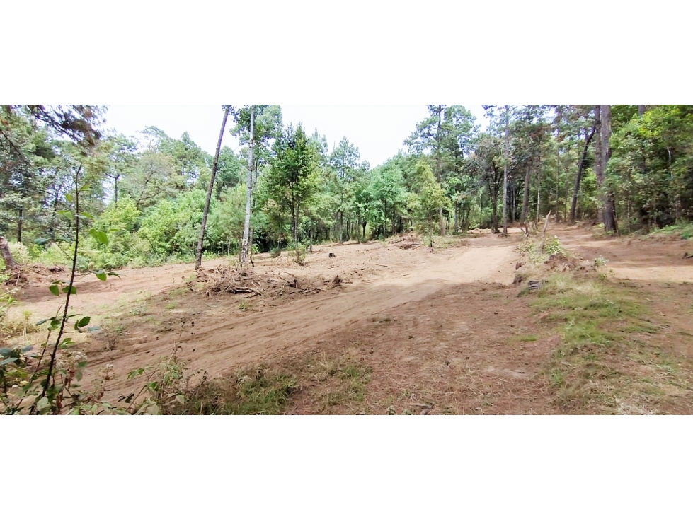 TERRENO EN VENTA/EL MANZANO/VALLE DE BRAVO - 4
